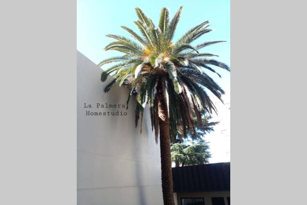 La Palmera Homestudio. Hermoso Apartamento En El Corazon De Palermo Hollywood Buenos Aires Eksteriør billede